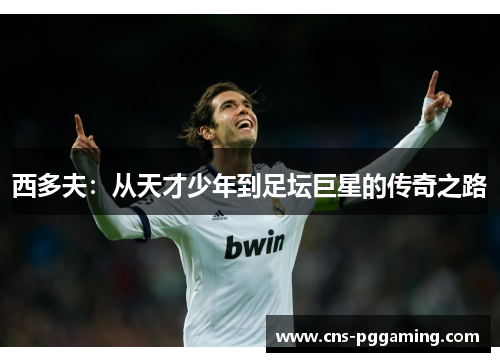 西多夫:从天才少年到足坛巨星的传奇之路 西多夫:从天才少年到足坛巨星的传奇之路
