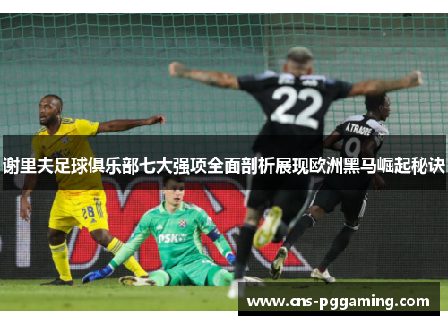 谢里夫足球俱乐部七大强项全面剖析展现欧洲黑马崛起秘诀 谢里夫足球俱乐部七大强项全面剖析展现欧洲黑马崛起秘诀