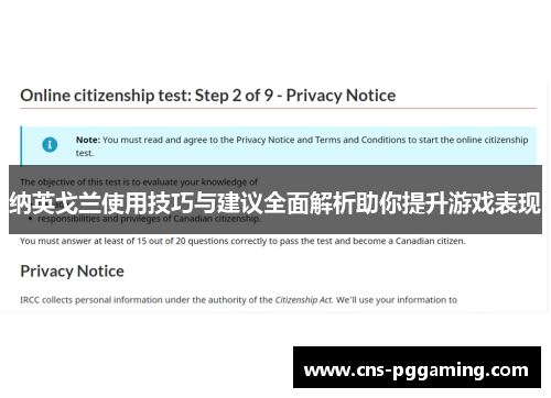 纳英戈兰使用技巧与建议全面解析助你提升游戏表现 纳英戈兰使用技巧与建议全面解析助你提升游戏表现