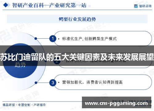 苏比门迪留队的五大关键因素及未来发展展望