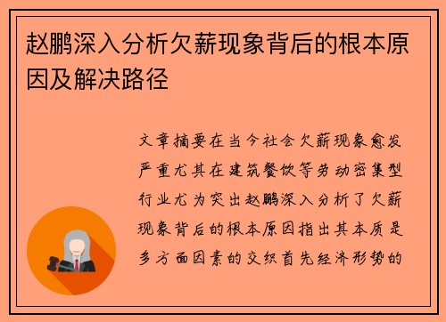 赵鹏深入分析欠薪现象背后的根本原因及解决路径