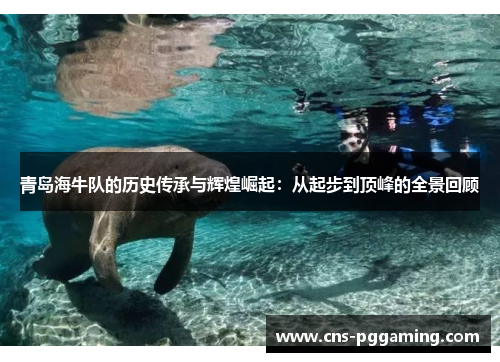 青岛海牛队的历史传承与辉煌崛起：从起步到顶峰的全景回顾