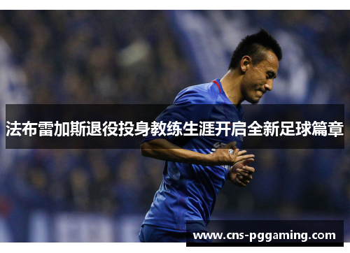 法布雷加斯退役投身教练生涯开启全新足球篇章 法布雷加斯退役投身教练生涯开启全新足球篇章