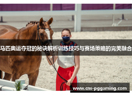 马匹奥运夺冠的秘诀解析训练技巧与赛场策略的完美融合